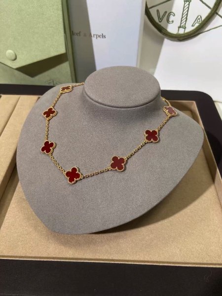 سنسال فان كليف