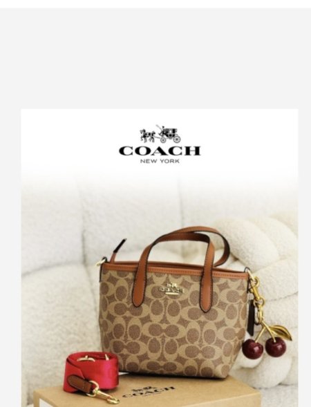 شنته COACH